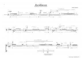Ascidiacea for bass flute a3 z 7